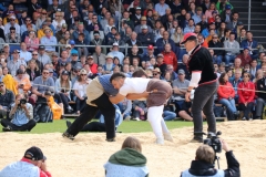 42a_IMG_2658