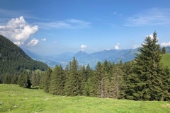 IMG_3378