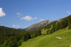 004-IMG_7370
