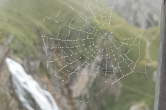 55e710bc-47d7-48bd-9c2b-ced422ff56b1