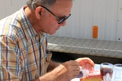 IMG_8827a