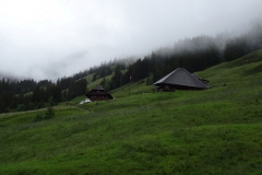 DSC03713b