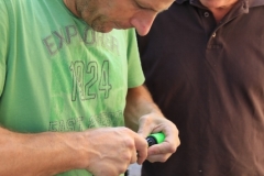 IMG_1417 (533x800)