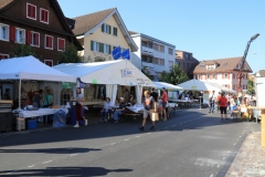 IMG_1463 (800x533)