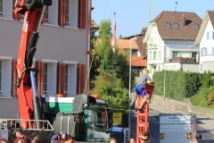 IMG_1464 (531x800)