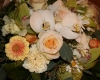 IMG_2667 (800x533)