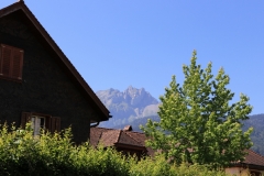 h-IMG_4321-2-800x505