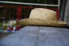 IMG_8406 (640x427)