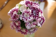 IMG_4783 (480x640)