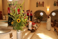 IMG_6643 (2) (800x533)