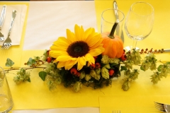 IMG_6752 (2) (800x533)