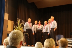 IMG_6851 (2) (800x533)